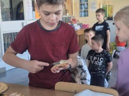 57102606412911851561427636079789572654443303n